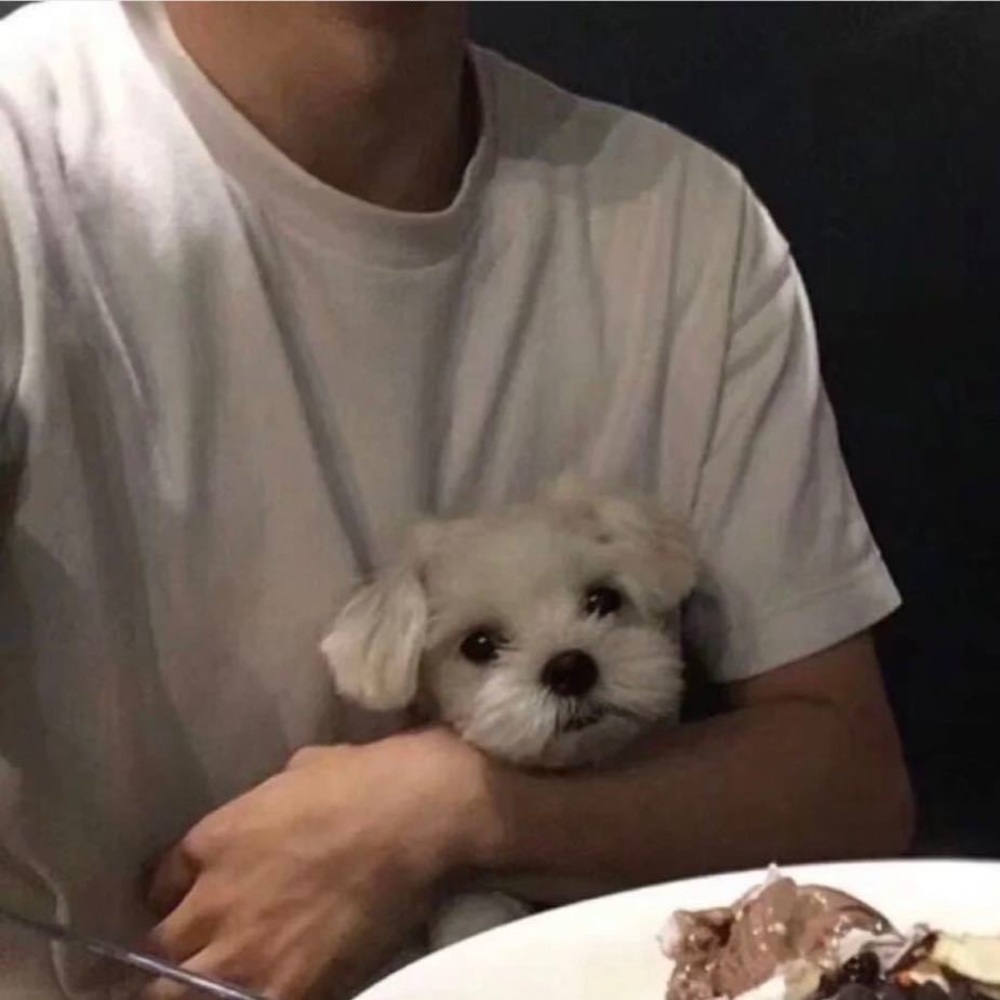 Meet your Posher, He